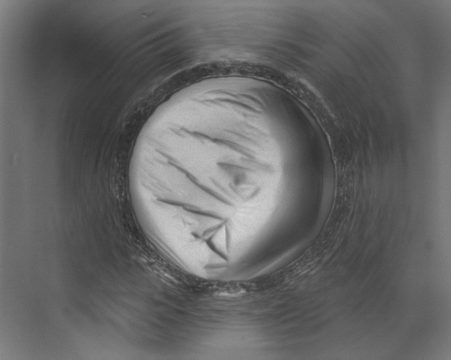 X0000073830919200609071511