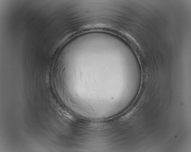 X0000073830921200609071511