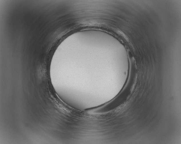 X0000073830922200609071511