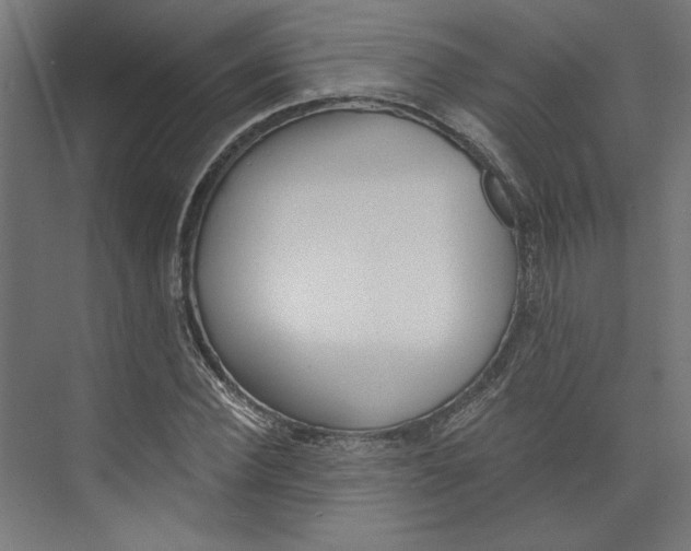 X0000073830924200609071511