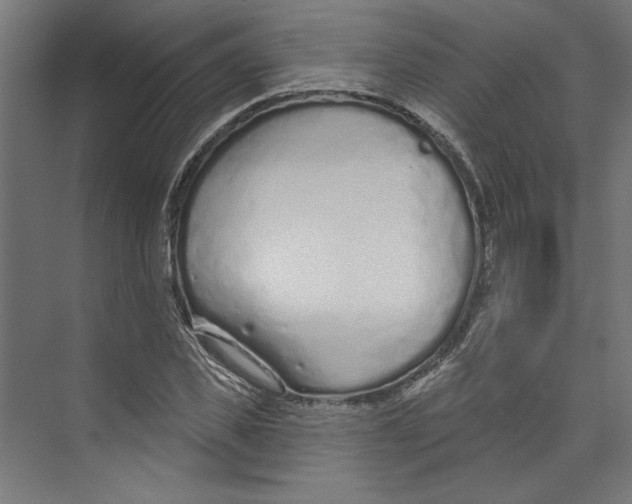 X0000073830925200609071511