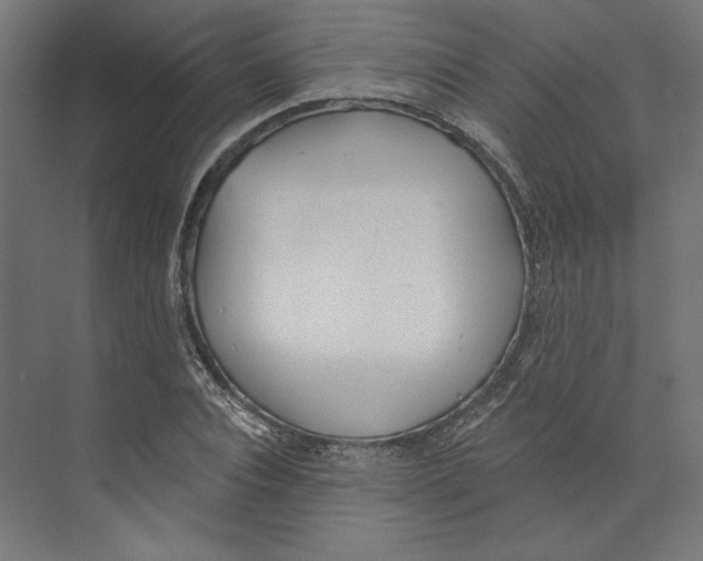 X0000073830928200609071511