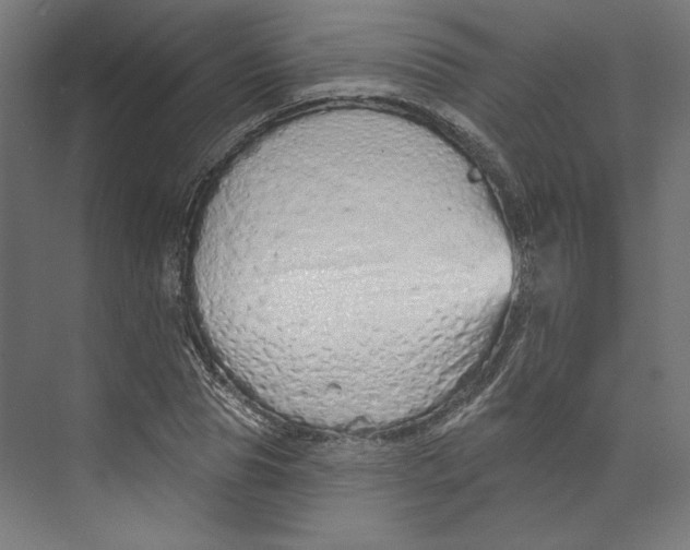 X0000073830929200609071511