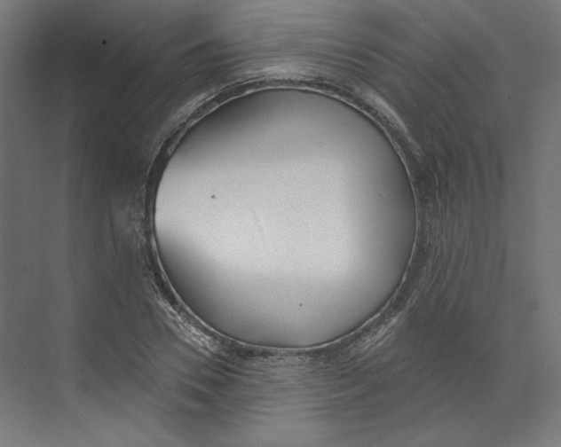 X0000073830930200609071511