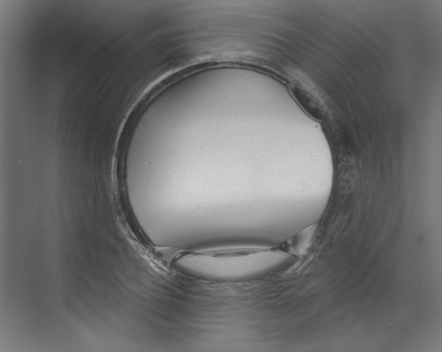 X0000073830932200609071511