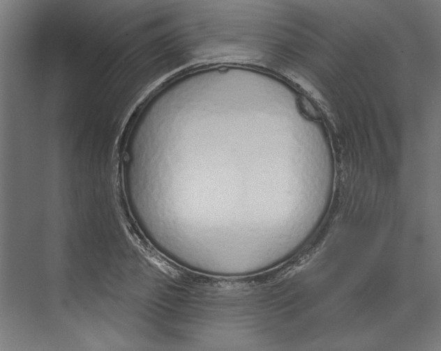 X0000073830933200609071511