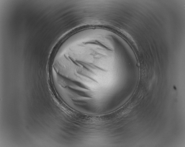 X0000073830935200609071511