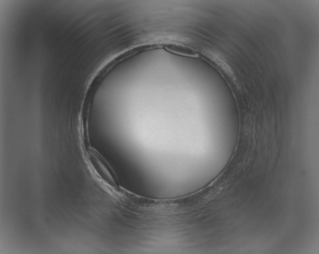 X0000073830936200609071511