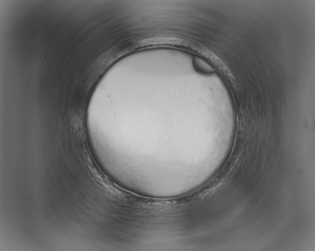 X0000073830937200609071511