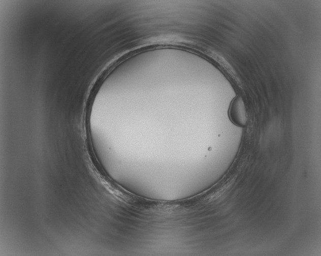 X0000073830939200609071511