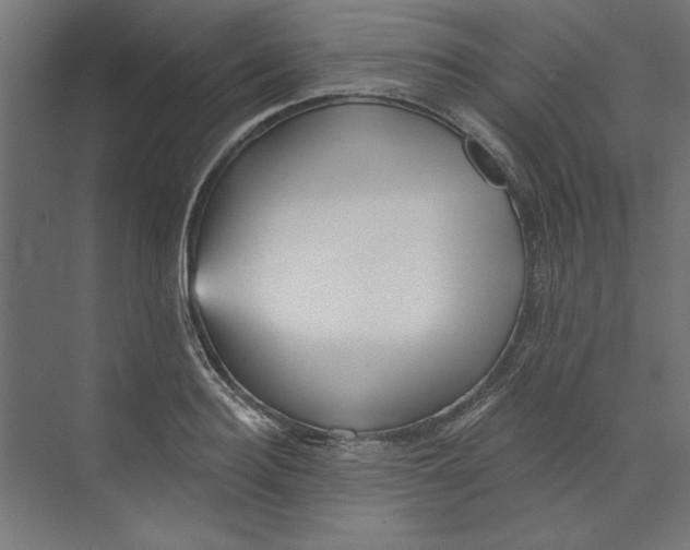 X0000073830940200609071511