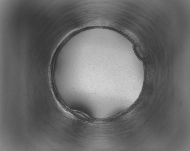 X0000073830942200609071511