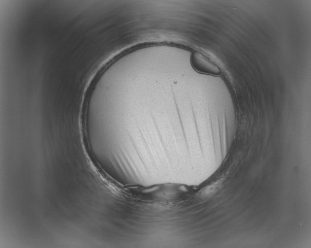 X0000073830943200609071511