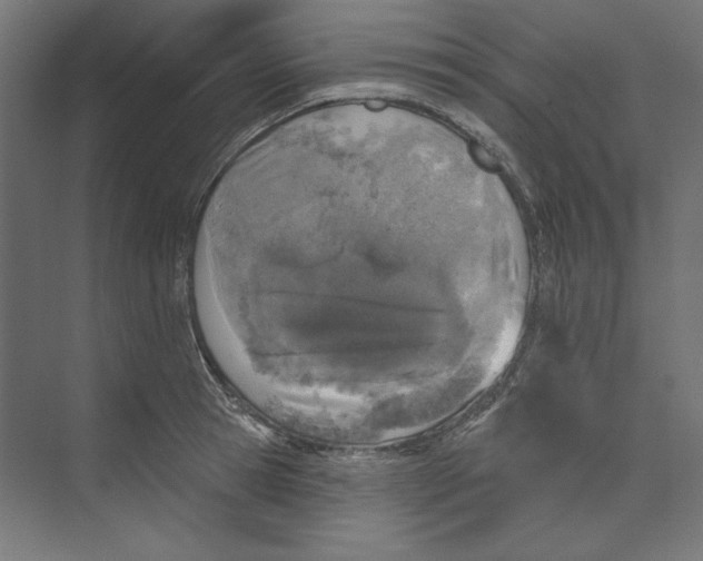 X0000073830945200609071511