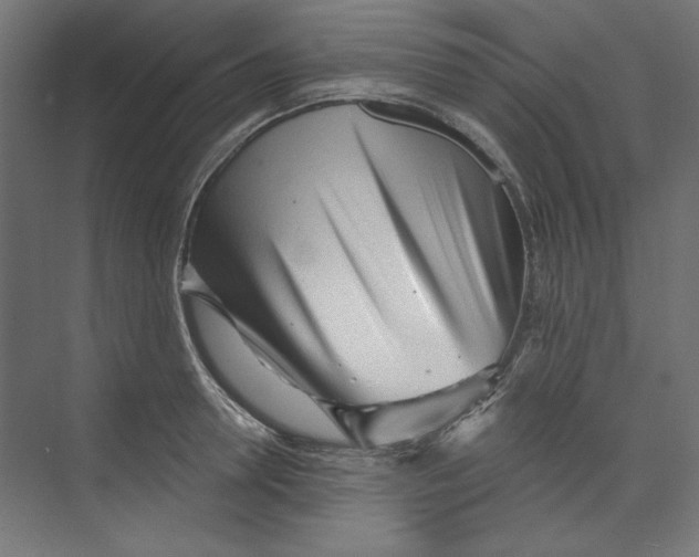 X0000073830946200609071511