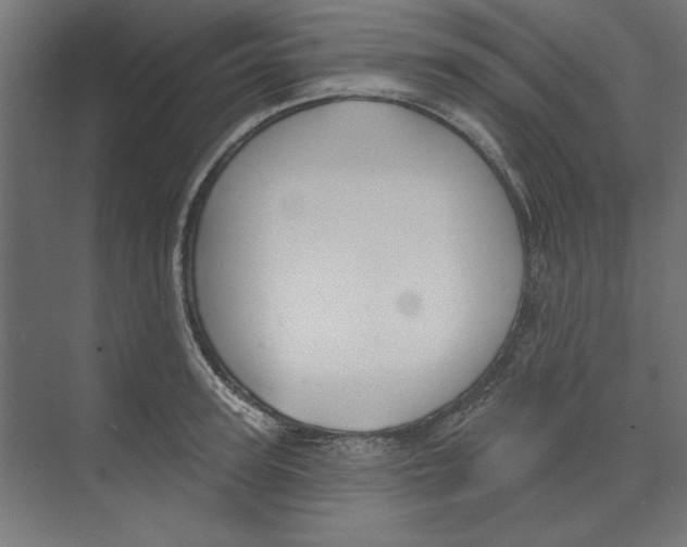 X0000073830947200609071511