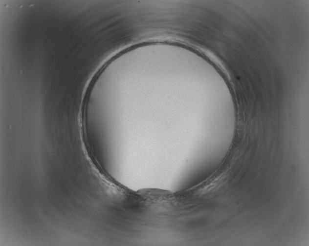 X0000073830951200609071511