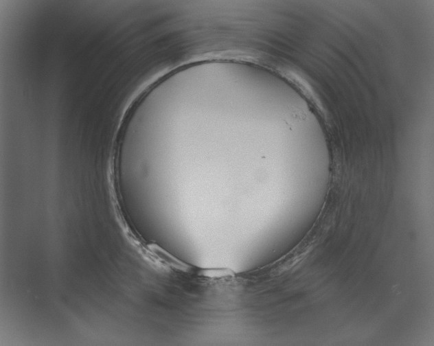 X0000073830952200609071511