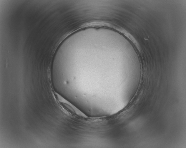 X0000073830953200609071511