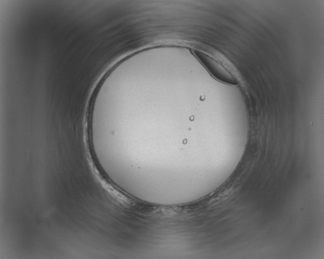 X0000073830955200609071511