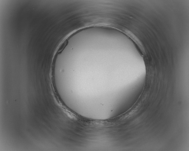 X0000073830956200609071511