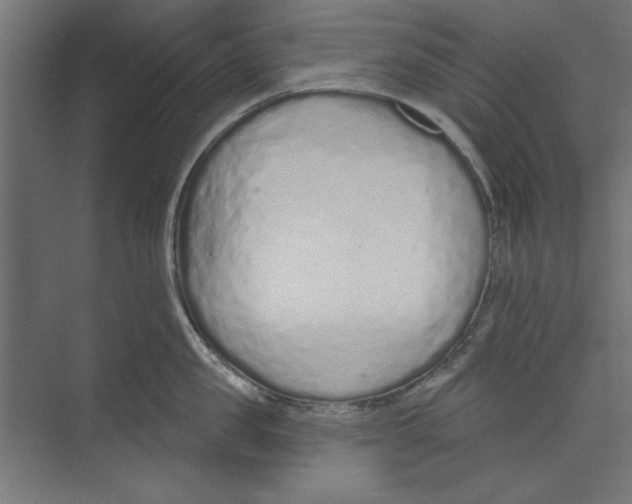 X0000073830957200609071511