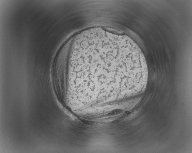 X0000073830958200609071511