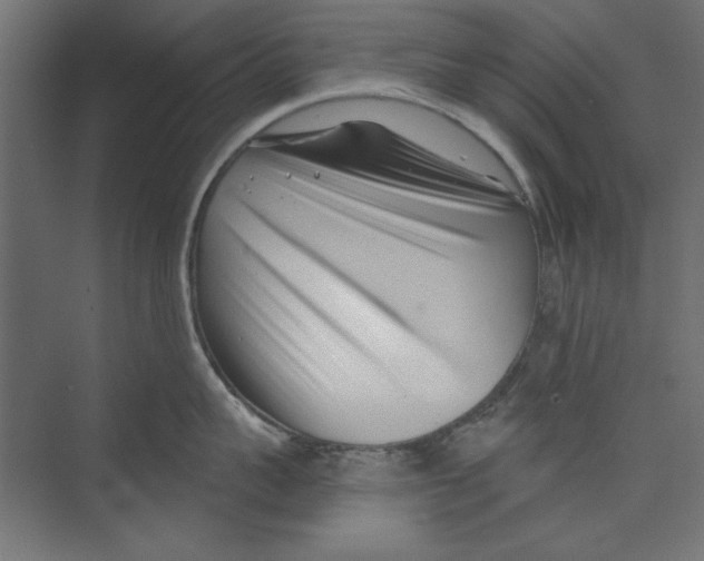 X0000073830959200609071511