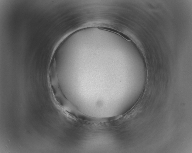 X0000073830960200609071511