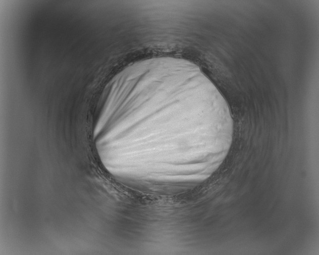 X0000073830961200609071511