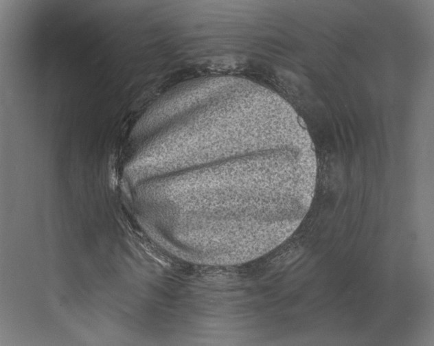 X0000073830962200609071511