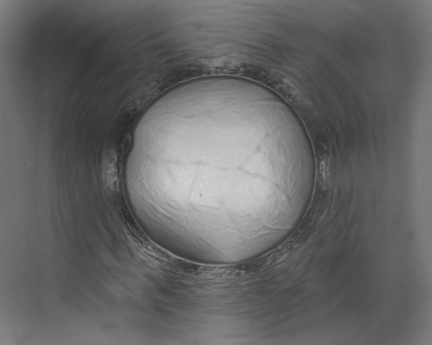 X0000073830963200609071511