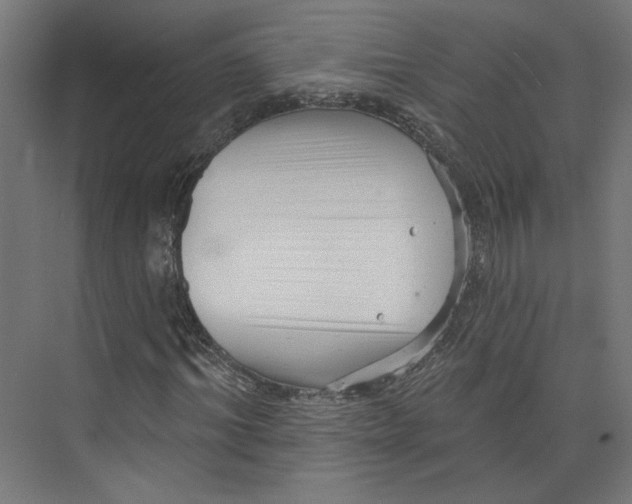 X0000073830964200609071511