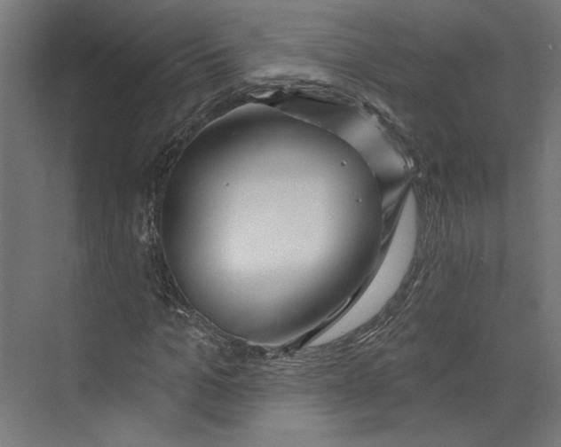 X0000073830965200609071511