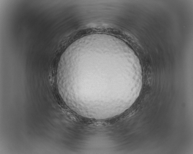 X0000073830966200609071511