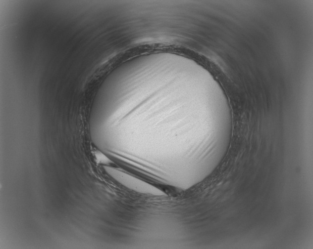 X0000073830967200609071510