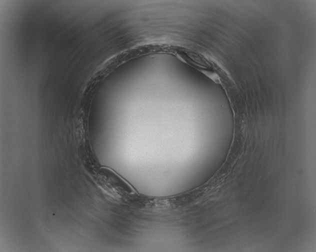 X0000073830968200609071510