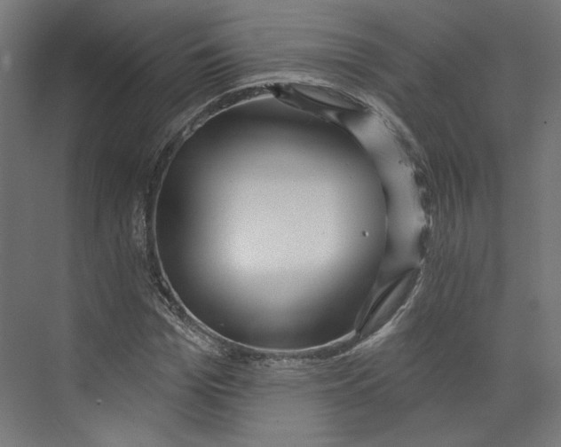 X0000073830969200609071510