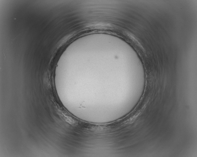 X0000073830970200609071510