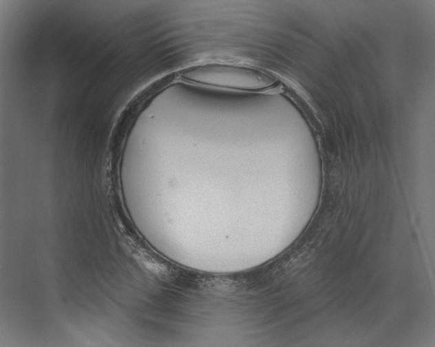 X0000073830971200609071510