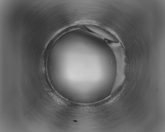 X0000073830973200609071510