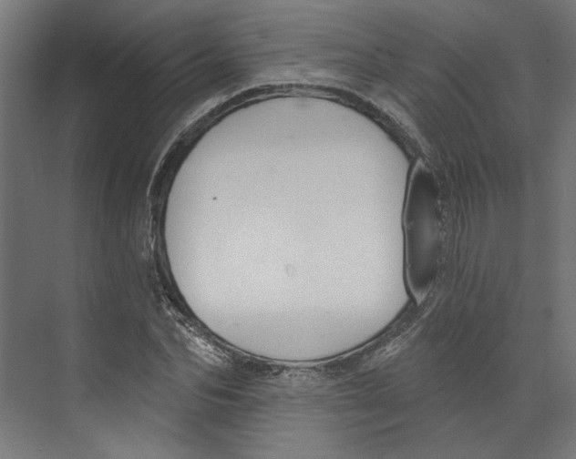 X0000073830974200609071510