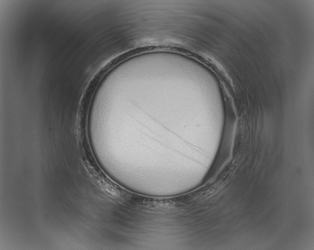 X0000073830975200609071510