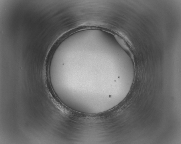 X0000073830976200609071510