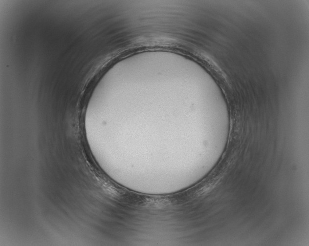 X0000073830978200609071510