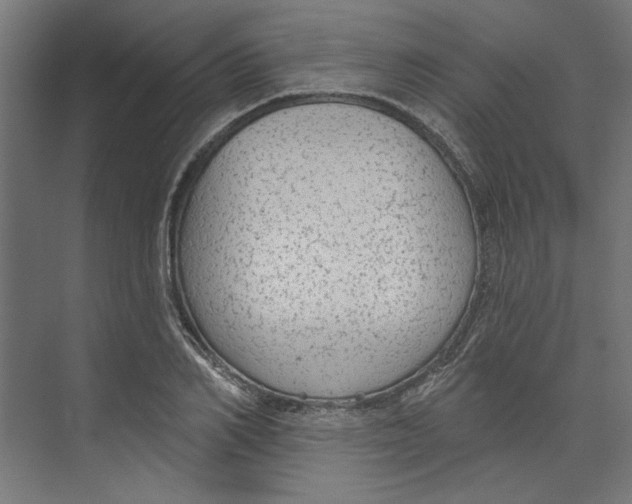 X0000073830982200609071510