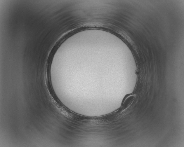 X0000073830984200609071510