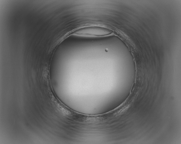 X0000073830985200609071510