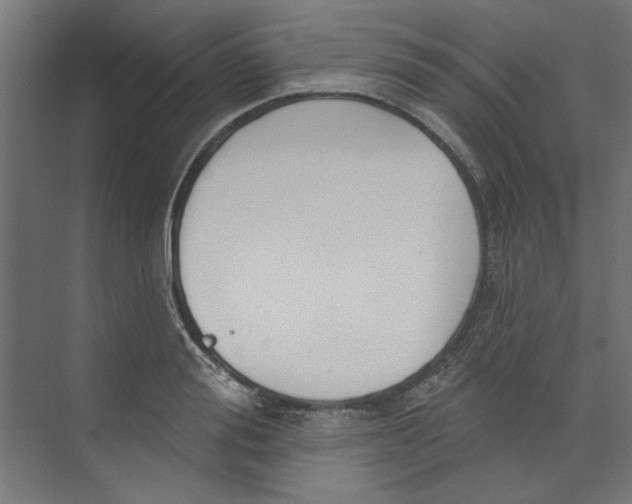 X0000073830988200609071510