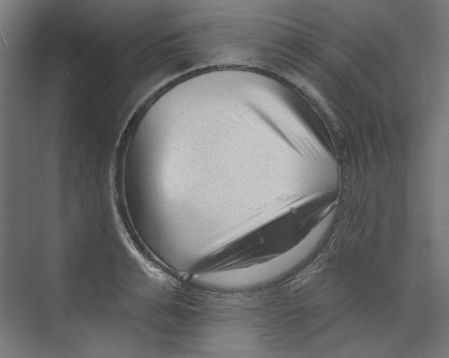 X0000073830991200609071510